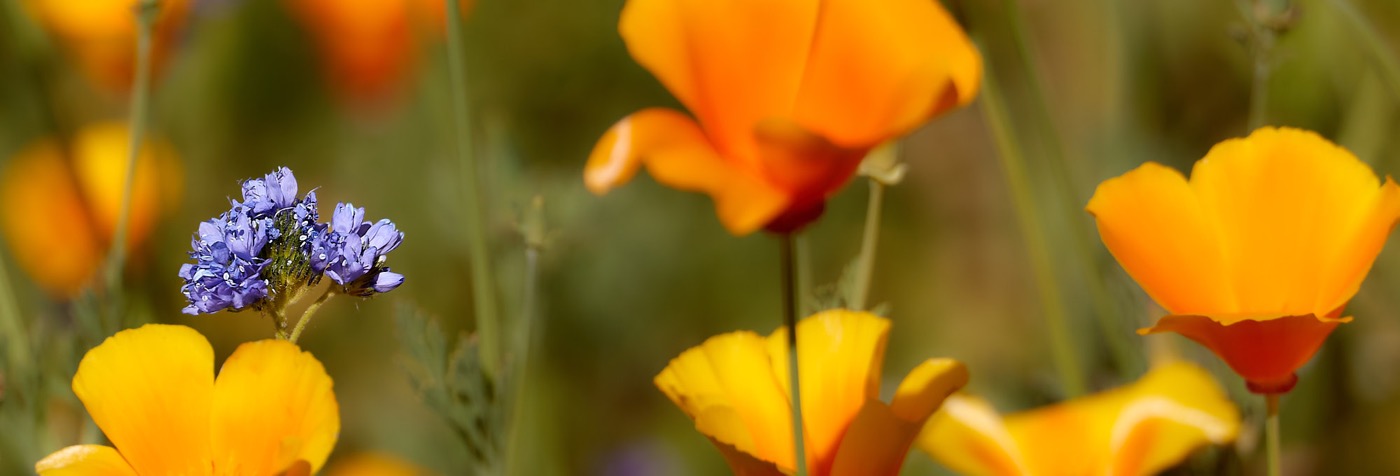 200602_092529_F__0004