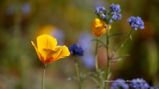 200602_092625_F__0007