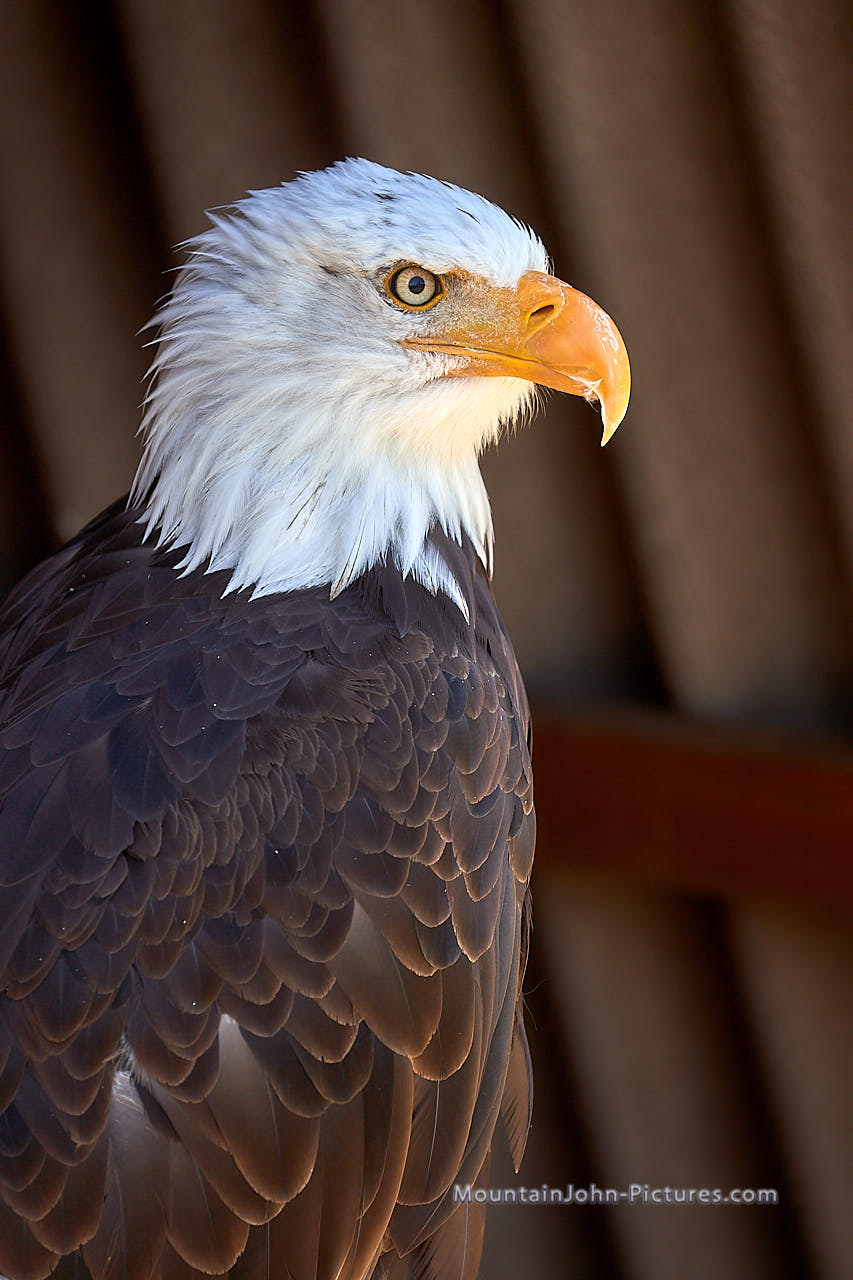 200730_123759_F__1173.jpg
