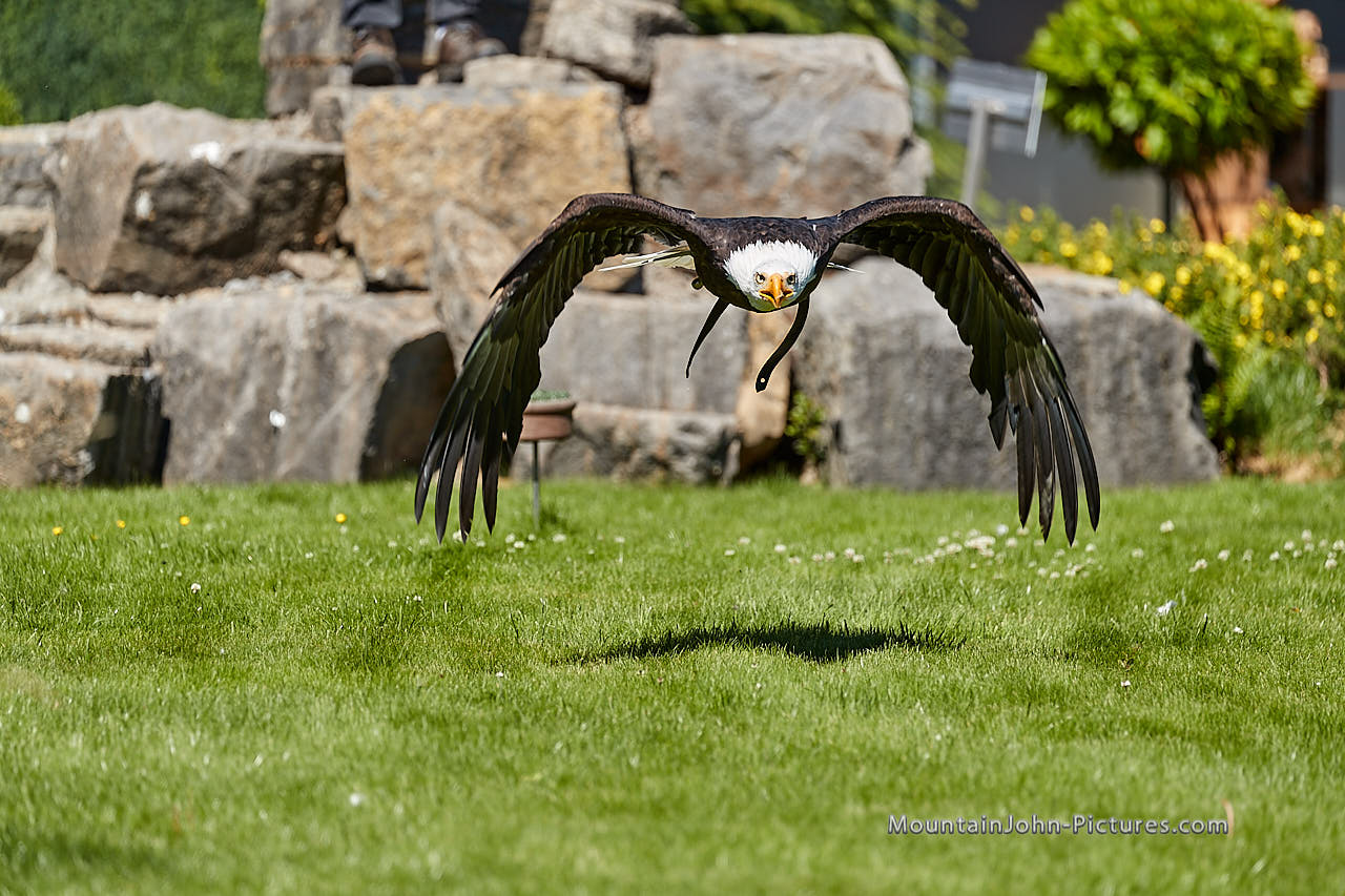 200730_152454_F__3269.jpg