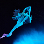 190824_221953_F__2716 1.jpg