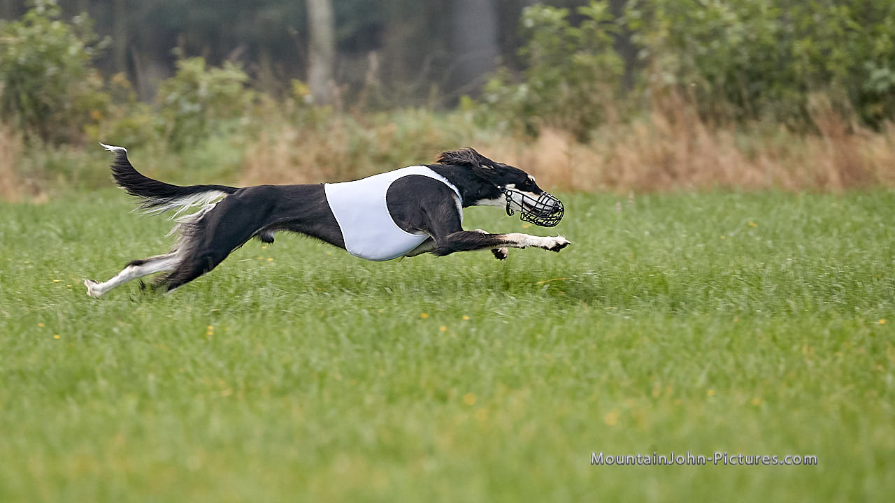 201017_112754_F__1510.jpg