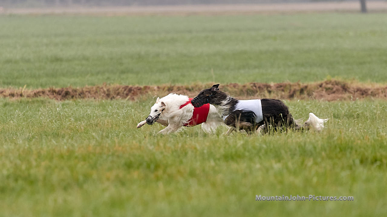 201018_100744_F__0587.jpg