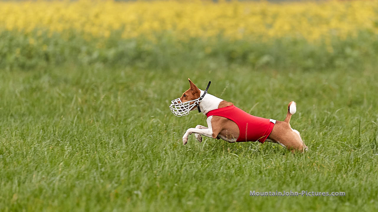 201018_101918_F__0801.jpg