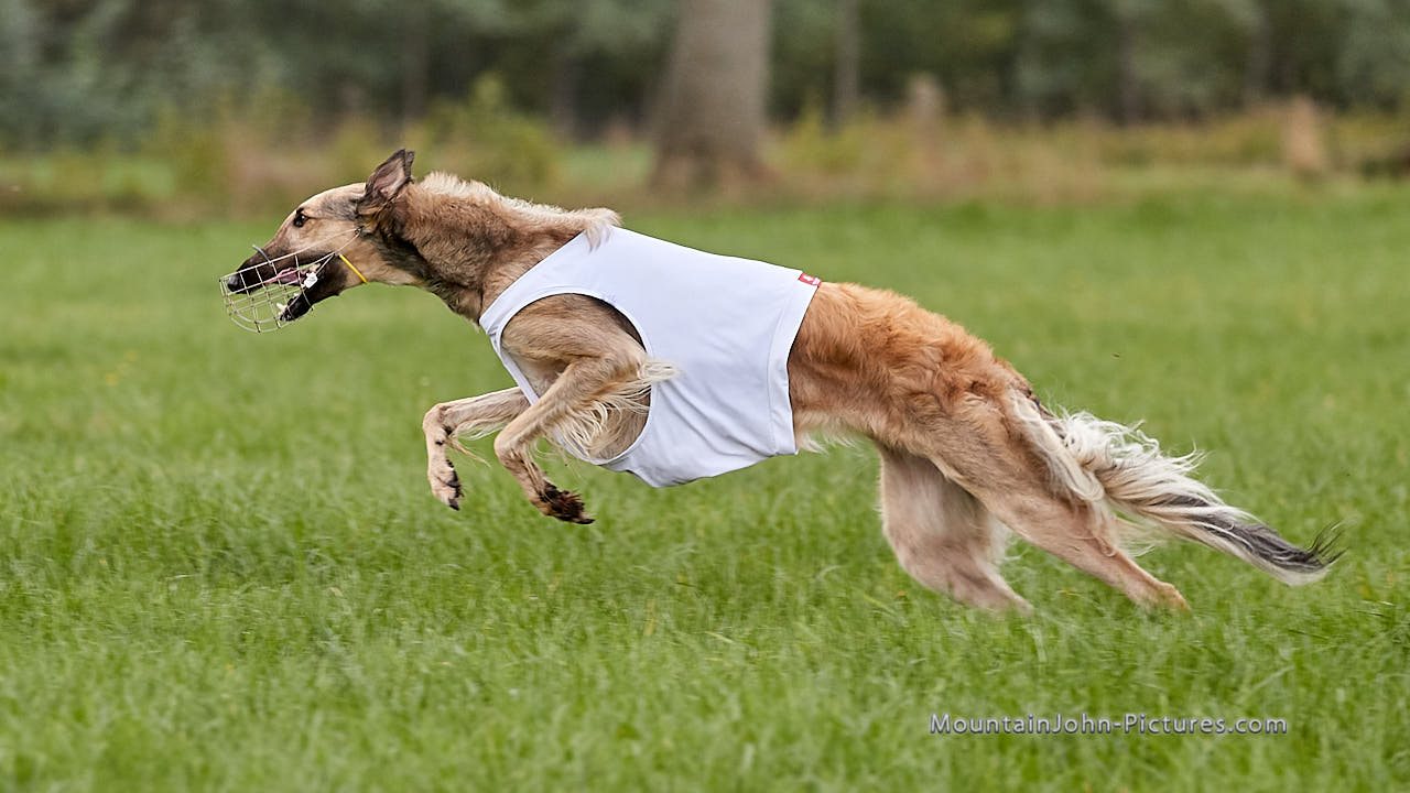 201018_140737_F__3375.jpg
